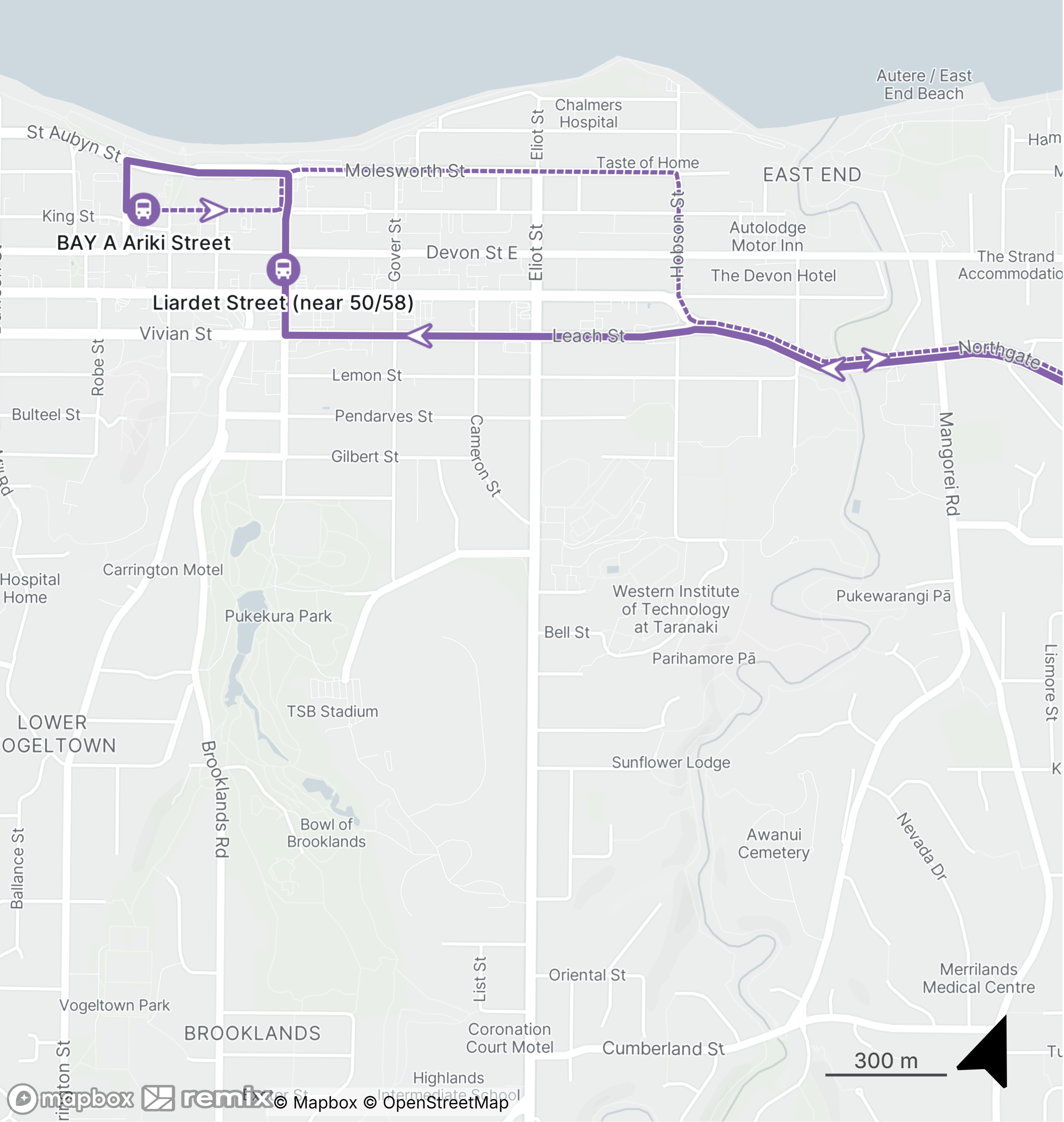 Route 19 New Plymouth Map